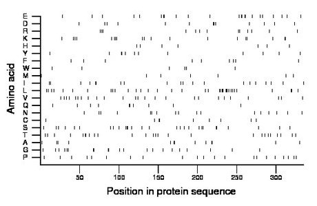 amino acid map