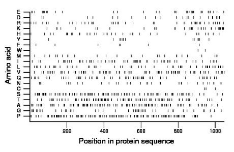 amino acid map