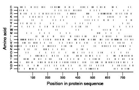 amino acid map