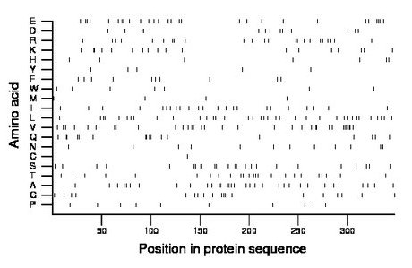 amino acid map