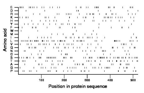 amino acid map