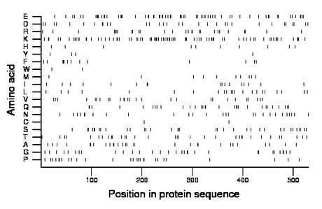 amino acid map