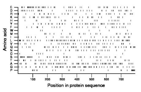 amino acid map