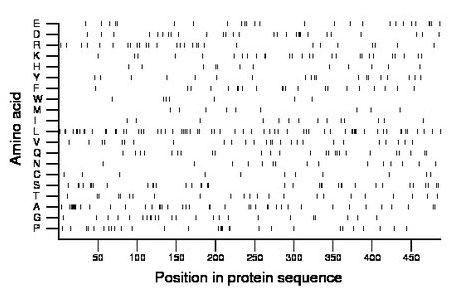 amino acid map