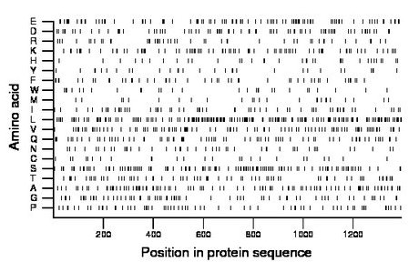 amino acid map