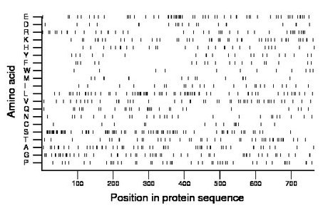 amino acid map