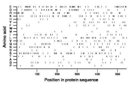 amino acid map