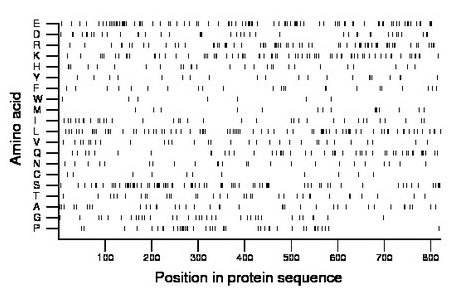 amino acid map