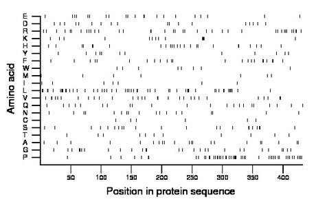 amino acid map