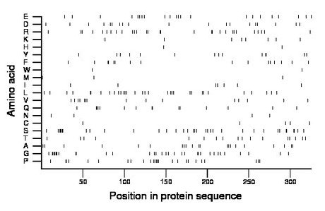 amino acid map