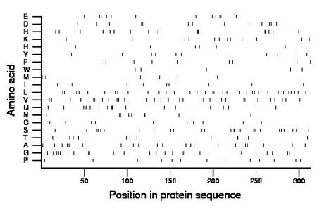 amino acid map