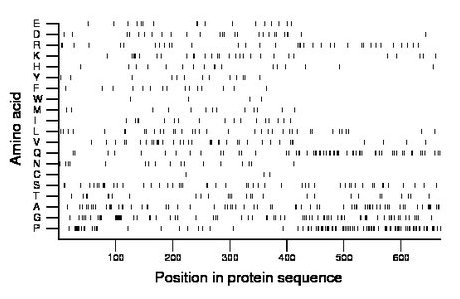 amino acid map