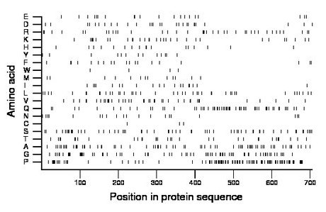 amino acid map