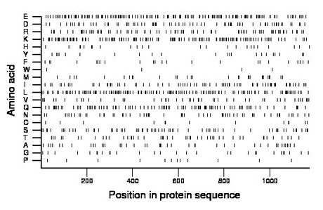 amino acid map