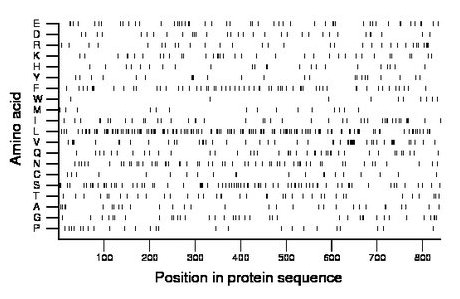 amino acid map