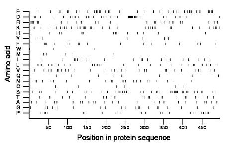 amino acid map