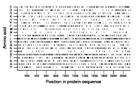 amino acid map