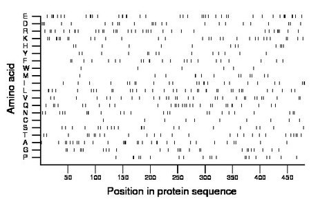 amino acid map