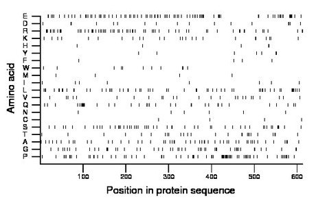 amino acid map