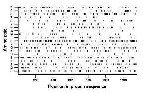 amino acid map