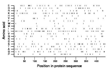 amino acid map