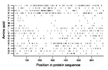 amino acid map