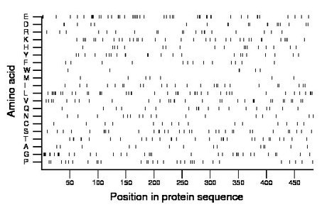 amino acid map