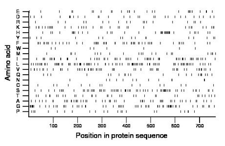 amino acid map