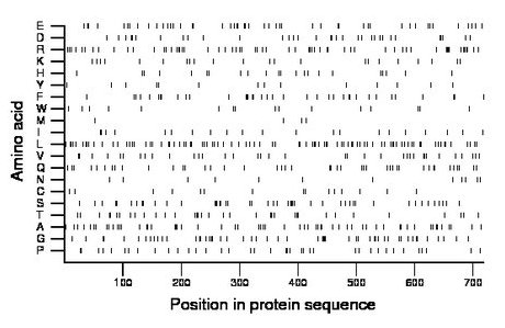 amino acid map