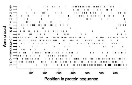 amino acid map