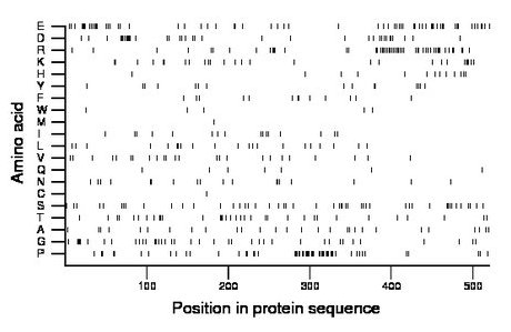 amino acid map