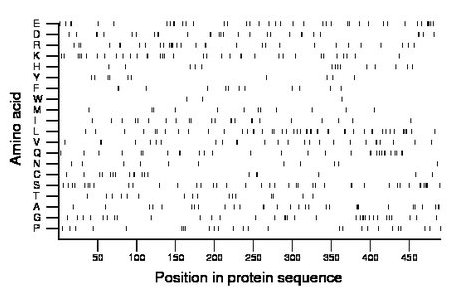 amino acid map