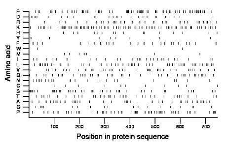 amino acid map