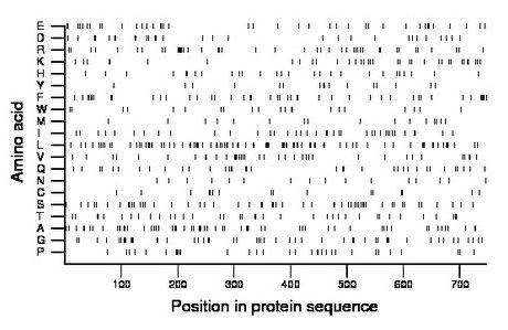 amino acid map