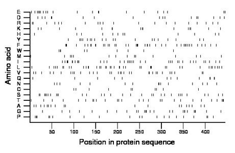 amino acid map