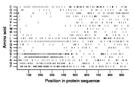 amino acid map