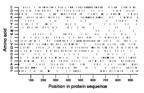 amino acid map