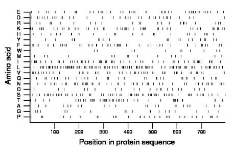 amino acid map