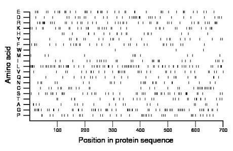 amino acid map