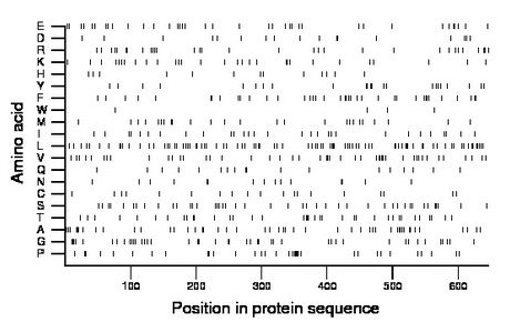 amino acid map