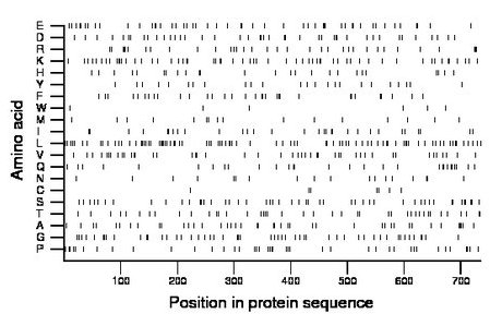 amino acid map