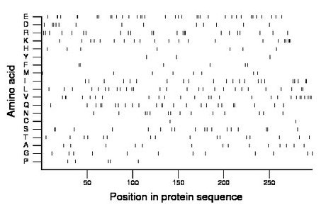 amino acid map