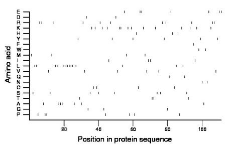 amino acid map