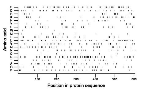 amino acid map