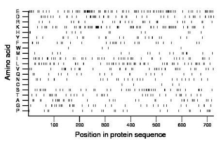 amino acid map