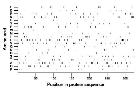 amino acid map