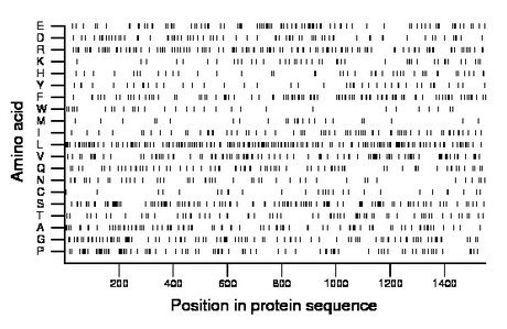 amino acid map