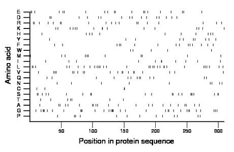 amino acid map