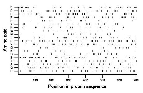 amino acid map