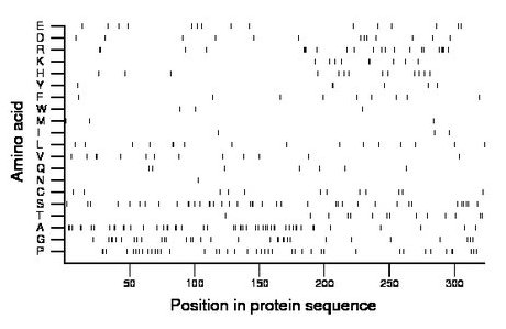 amino acid map